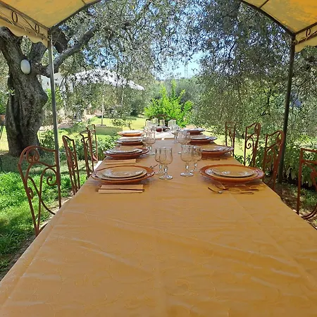 Marinella * أميليا